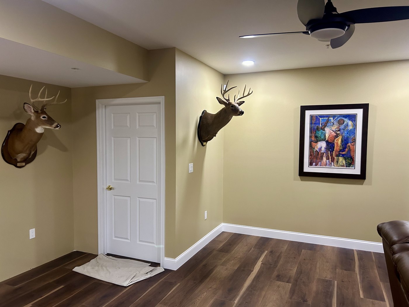 Orlando home mounting project
